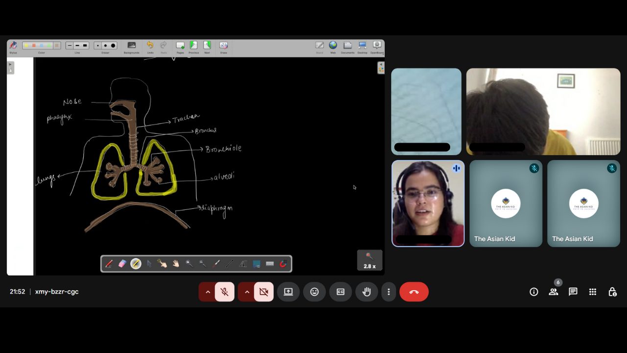 Tutor drawing the respiratory system during a live class